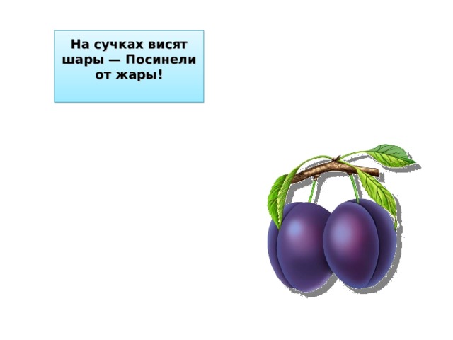 На сучках висят шары — Посинели от жары!   