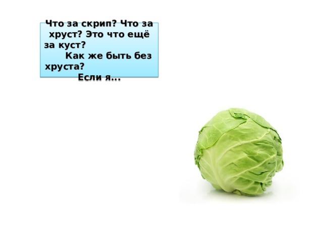 Что за скрип? Что за хруст? Это что ещё за куст? Как же быть без хруста? Если я... 