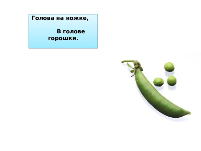 Голова на ножке, В голове горошки.   