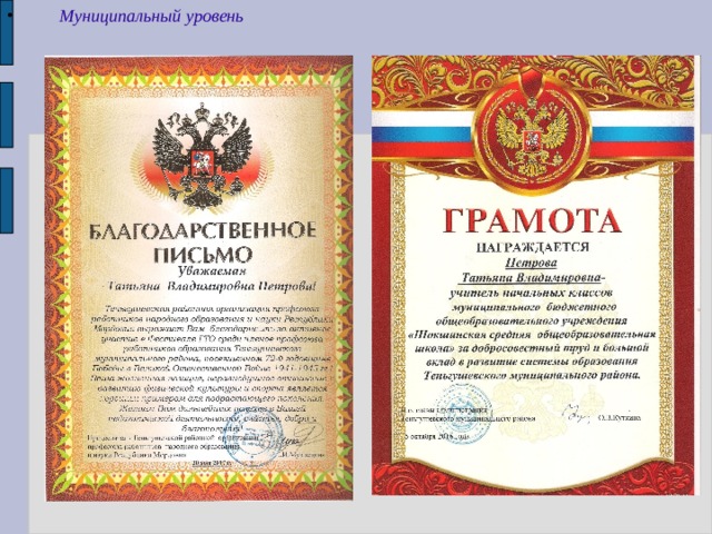 Муниципальный уровень 