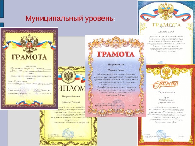 Муниципальный уровень : 