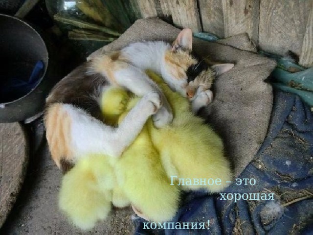  Главное – это  хорошая  компания! 