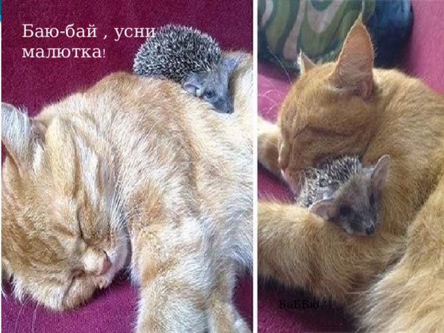 Баю-бай , усни малютка ! БаББю 