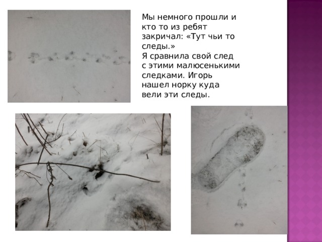 Мы немного прошли и кто то из ребят закричал: «Тут чьи то следы.» Я сравнила свой след с этими малюсенькими следками. Игорь нашел норку куда вели эти следы. 