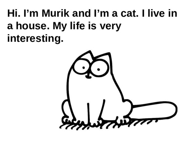 Hi. I’m Murik and I’m a cat. I live in a house. My life is very interesting. 