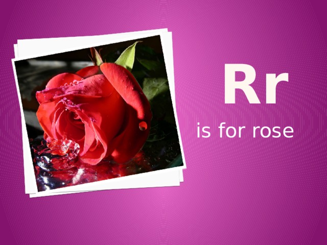 r r is for rose 