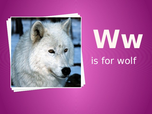 w w is for wolf 