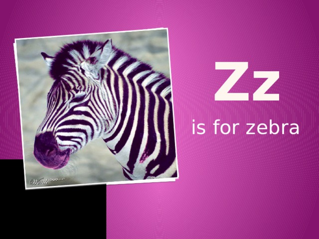 z z is for zebra 