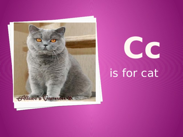 Cc is for cat 