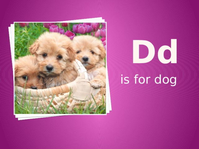 Dd is for dog 
