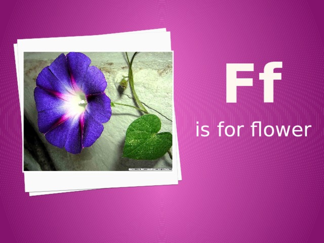 F f is for flower 