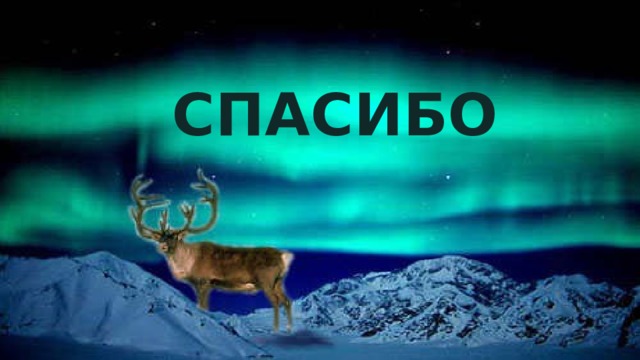  СПАСИБО 