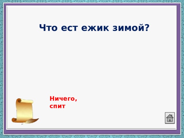 Что ест ежик зимой? Ничего, спит 