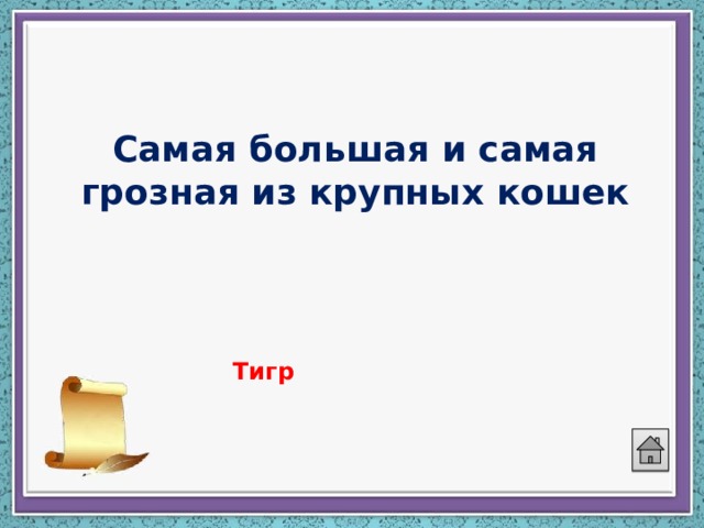 Самая большая и самая грозная из крупных кошек   Тигр 