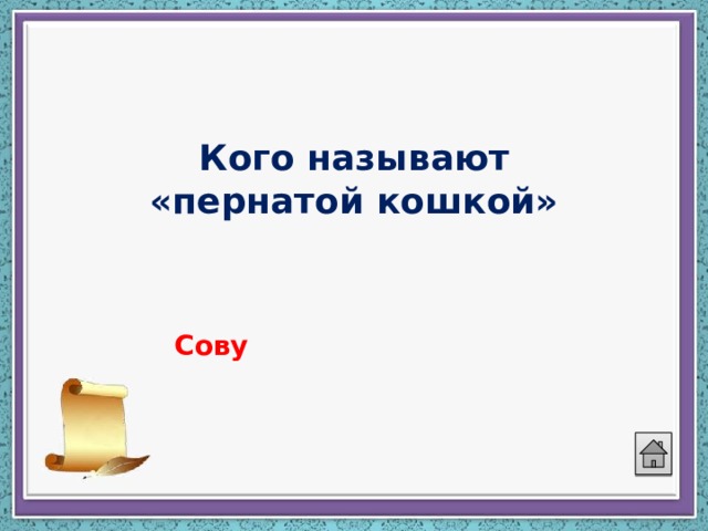 Кого называют «пернатой кошкой» Сову 