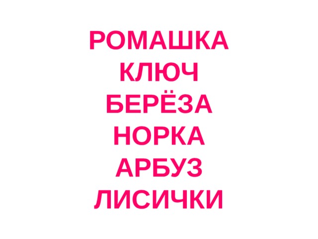 РОМАШКА  КЛЮЧ  БЕРЁЗА  НОРКА  АРБУЗ  ЛИСИЧКИ 