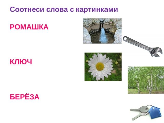 Соотнеси слова с картинками   РОМАШКА     КЛЮЧ     БЕРЁЗА    