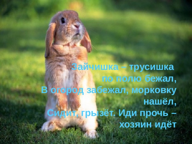 ! Зайчишка – трусишка по полю бежал, В огород забежал, морковку нашёл, Сидит, грызёт. Иди прочь – хозяин идёт 
