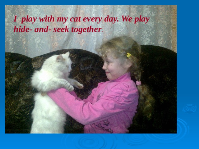 I play with my cat every day. We play hide- and- seek together . 
