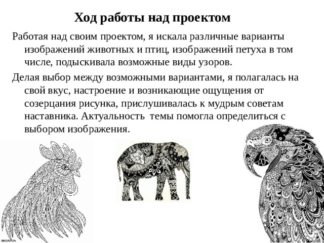 Ход работы над проектом Работая над своим проектом, я искала различные варианты изображений животных и птиц, изображений петуха в том числе, подыскивала возможные виды узоров. Делая выбор между возможными вариантами, я полагалась на свой вкус, настроение и возникающие ощущения от созерцания рисунка, прислушивалась к мудрым советам наставника. Актуальность темы помогла определиться с выбором изображения. 