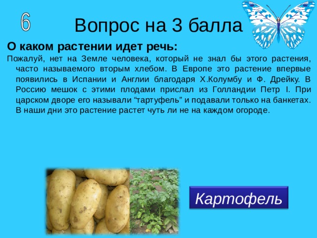 О каком растении идет речь: Пожалуй, нет на Земле человека, который не знал бы этого растения, часто называемого вторым хлебом. В Европе это растение впервые появились в Испании и Англии благодаря Х.Колумбу и Ф. Дрейку. В Россию мешок с этими плодами прислал из Голландии Петр I . При царском дворе его называли “тартуфель” и подавали только на банкетах. В наши дни это растение растет чуть ли не на каждом огороде. Картофель 