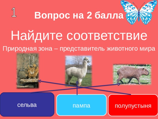 Вопрос на 2 балла Найдите соответствие Природная зона – представитель животного мира сельва пампа полупустыня 