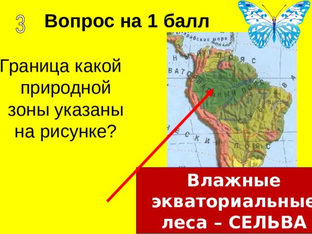 Вопрос на 1 балл Граница какой природной зоны указаны на рисунке? Влажные экваториальные леса – СЕЛЬВА 