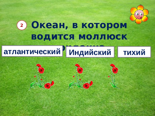 Океан, в котором водится моллюск тридакна 2 атлантический Индийский тихий  