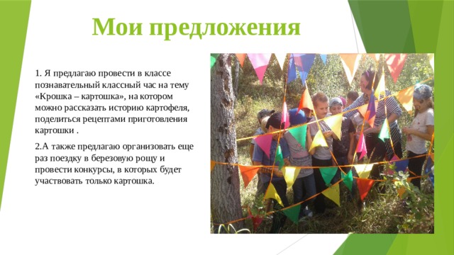Мои предложения 1. Я предлагаю провести в классе познавательный классный час на тему «Крошка – картошка», на котором можно рассказать историю картофеля, поделиться рецептами приготовления картошки . 2.А также предлагаю организовать еще раз поездку в березовую рощу и провести конкурсы, в которых будет участвовать только картошка. 
