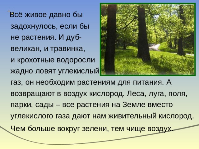 Всё живое давно бы  задохнулось, если бы  не растения. И дуб-  великан, и травинка,  и крохотные водоросли  жадно ловят углекислый  газ, он необходим растениям для питания. А  возвращают в воздух кислород. Леса, луга, поля,  парки, сады – все растения на Земле вместо  углекислого газа дают нам живительный кислород.  Чем больше вокруг зелени, тем чище воздух . 