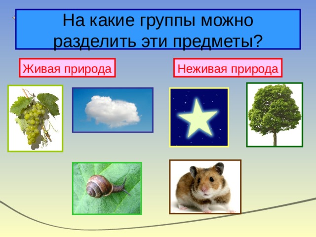 На какие группы можно разделить эти предметы? Живая природа Неживая природа 