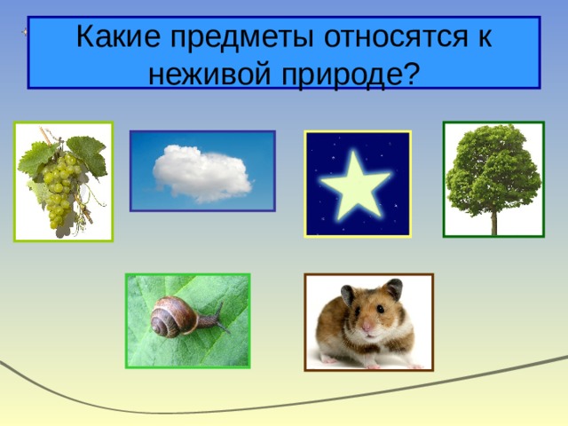 Какие предметы относятся к неживой природе? 