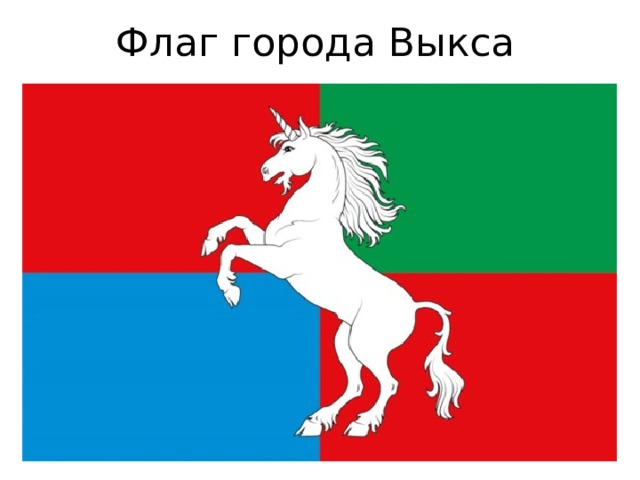 Флаг города Выкса 