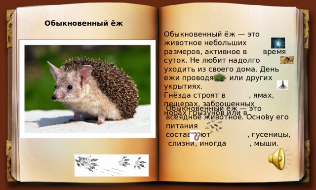 Обыкновенный ёж Обыкновенный ёж — это животное небольших размеров, активное в время суток. Не любит надолго уходить из своего дома. День ежи проводят в или других укрытиях. Гнёзда строят в , ямах, пещерах, заброшенных норах грызунов или в .  Обыкновенный ёж — это всеядное животное. Основу его питания составляют , гусеницы, слизни, иногда  , мыши. 