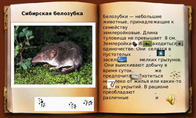 Сибирская белозубка Белозубки — небольшие животные, принадлежащие к  семейству землеройковые. Длина туловища не превышает 8 см. Землеройки любят находиться в одиночестве. Они селятся в пустотелых , , заселяют мелких грызунов.  Они выискивают добычу в время суток, же предпочитают охотиться недалеко от жилья или каких-то других укрытий. В рационе преобладают , различные и .       
