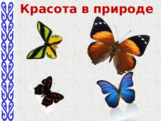 Красота в природе 