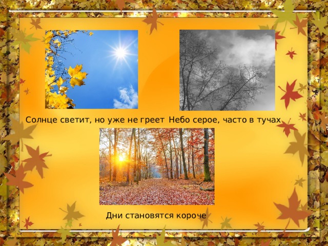 Солнце светит, но уже не греет Небо серое, часто в тучах Дни становятся короче 