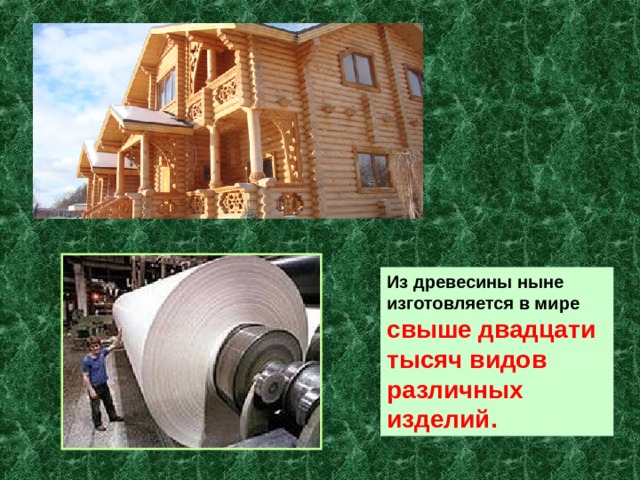 Из древесины ныне изготовляется в мире свыше двадцати тысяч видов различных изделий. 