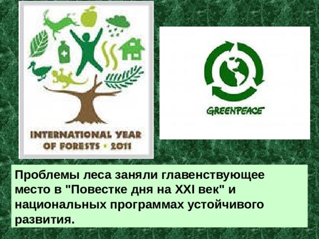 Проблемы леса заняли главенствующее место в 