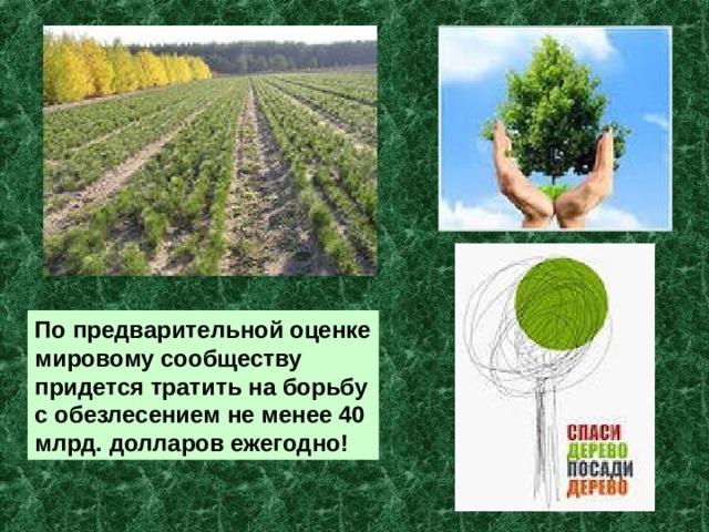 По предварительной оценке мировому сообществу придется тратить на борьбу с обезлесением не менее 40 млрд. долларов ежегодно! 