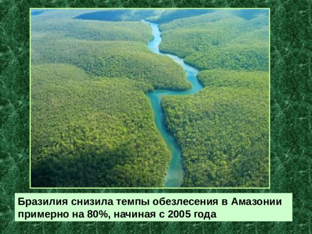 Бразилия снизила темпы обезлесения в Амазонии примерно на 80%, начиная с 2005 года 