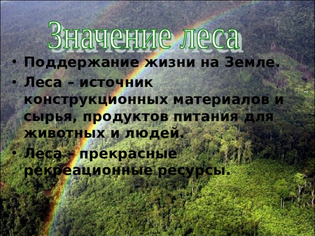 Поддержание жизни на Земле. Леса – источник конструкционных материалов и сырья, продуктов питания для животных и людей. Леса – прекрасные рекреационные ресурсы.  