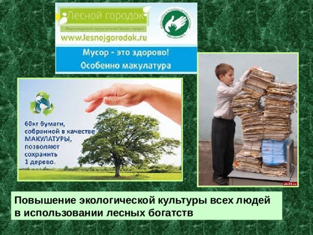 Повышение экологической культуры всех людей в использовании лесных богатств 