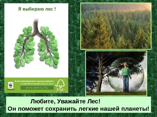  Любите, Уважайте Лес! Он поможет сохранить легкие нашей планеты! 
