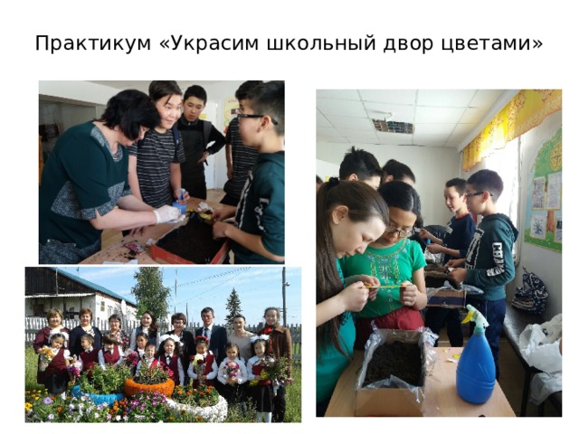 Практикум «Украсим школьный двор цветами»   