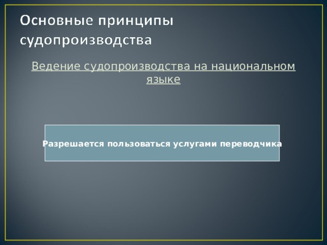 Ведение судопроизводства на национальном языке Разрешается пользоваться услугами переводчика 