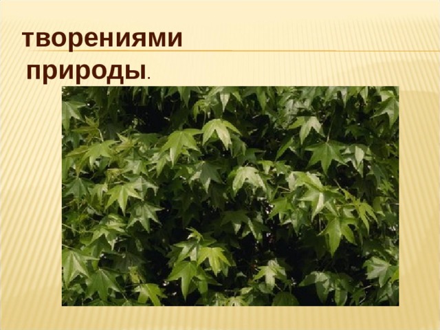  творениями  природы . 