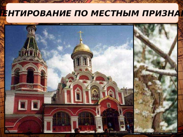 ОРИЕНТИРОВАНИЕ ПО МЕСТНЫМ ПРИЗНАКАМ Ю 