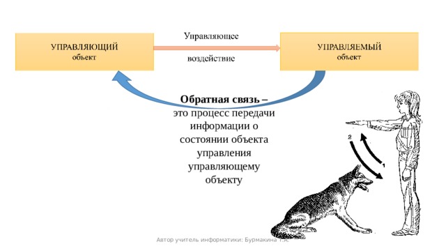 Обратная связь – это процесс передачи информации о состоянии объекта управления управляющему объекту Автор учитель информатики: Бурмакина Т.А. 