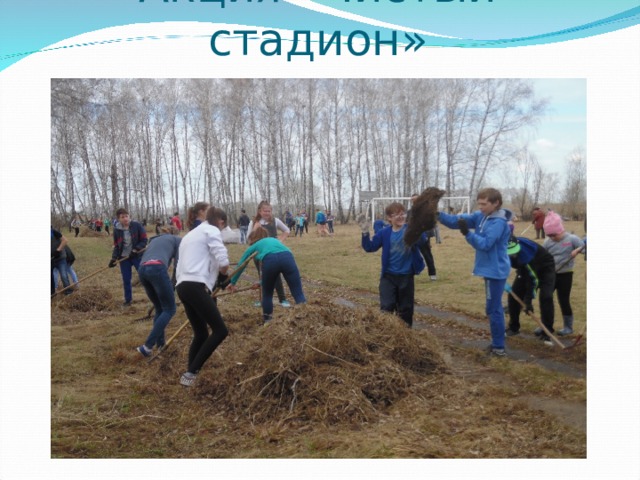 Акция «Чистый стадион» 